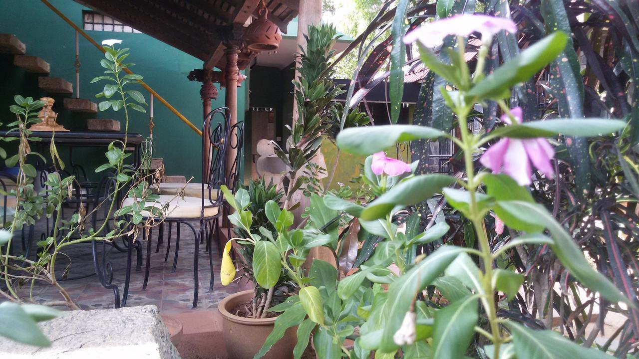 Green'S Guest House Auroville Dış mekan fotoğraf