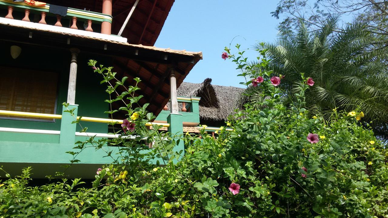 Green'S Guest House Auroville Dış mekan fotoğraf